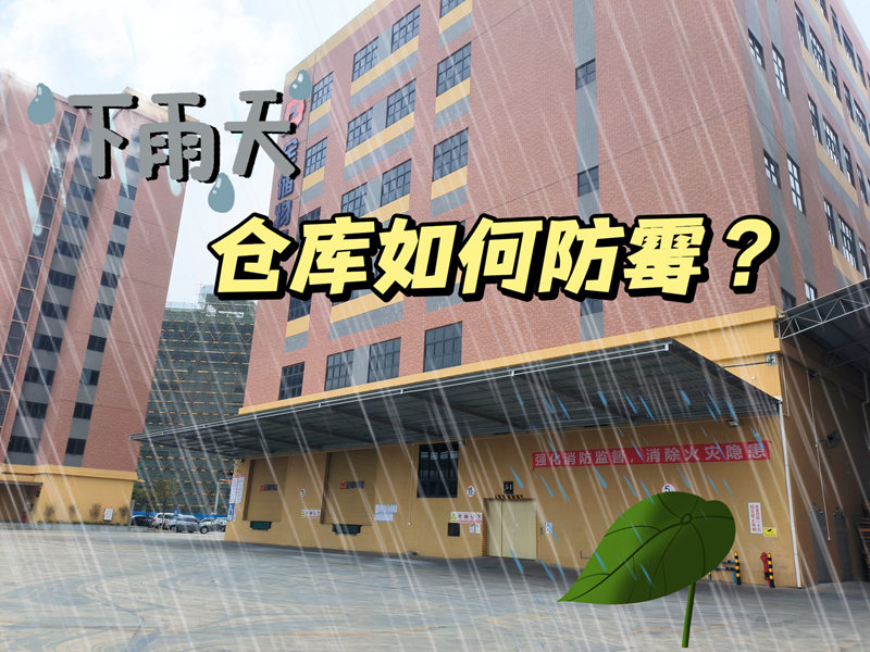 仓库若何防霉？