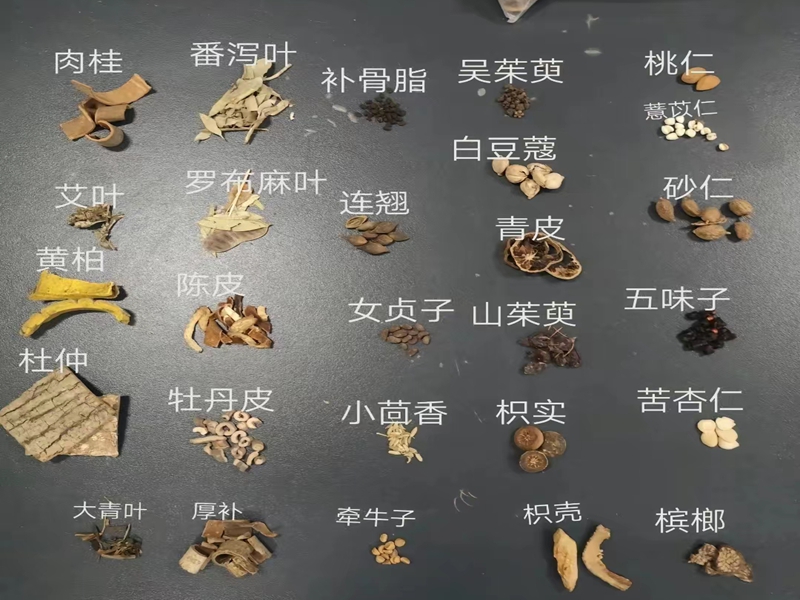 中药材 中药材